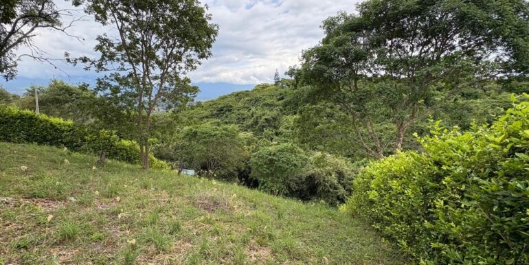 Lote en venta anapoima, inmobiliaria tanis, tanis, bogotá, espectacular (2)