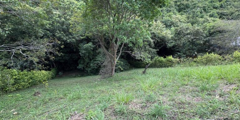 Lote en venta anapoima, inmobiliaria tanis, tanis, bogotá, espectacular (4)