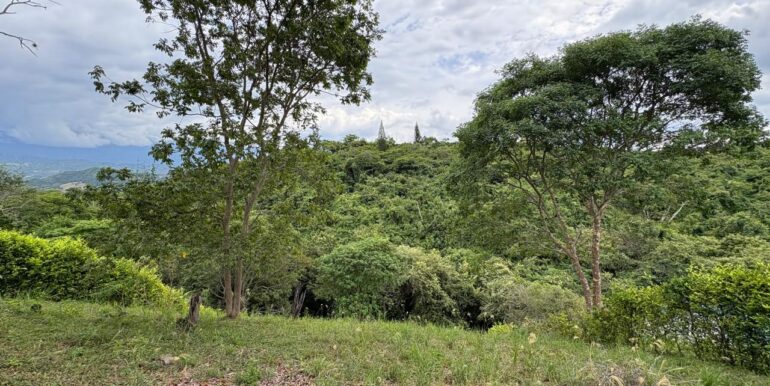 Lote en venta anapoima, inmobiliaria tanis, tanis, bogotá, espectacular (7)