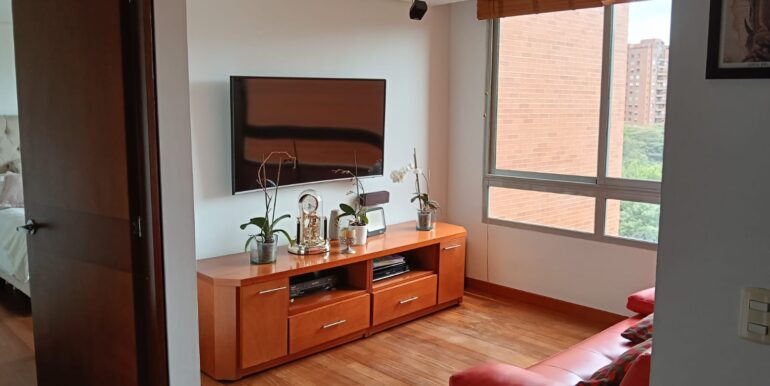 SALON DE TV