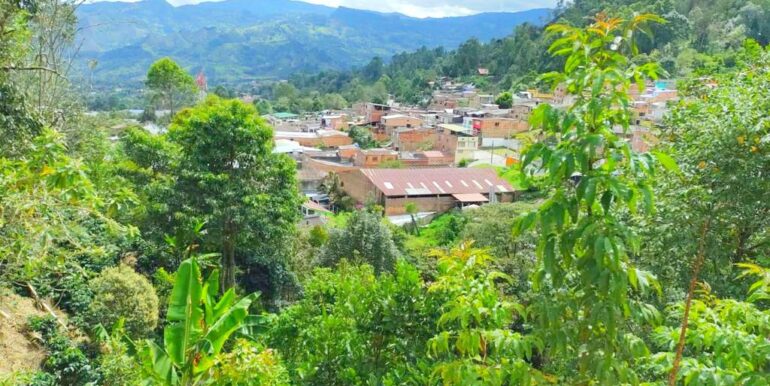 Vendemos espectacular lote en Pacho, Cundinamarca, vista panorámica, inmobiliaria tanis, tanis (5)