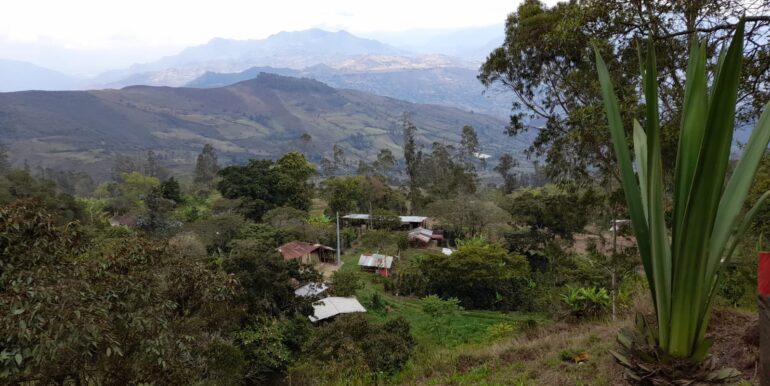 Venta, finca, fomeque, cundinamarca, inmobiliaria tanis, tanis (9)